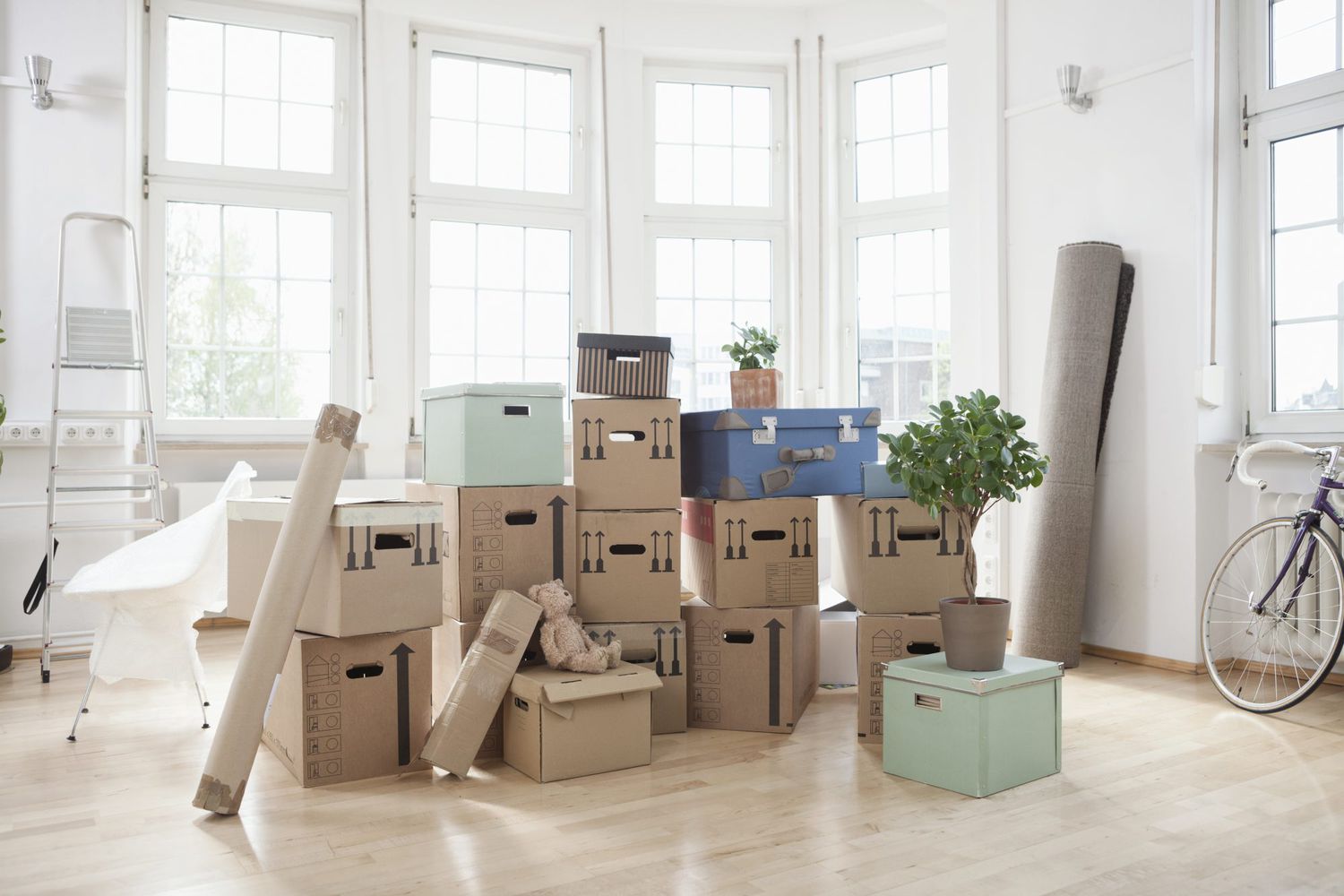 International Moving